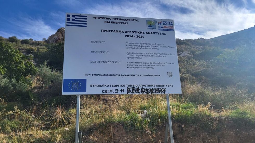 anadasosi espa